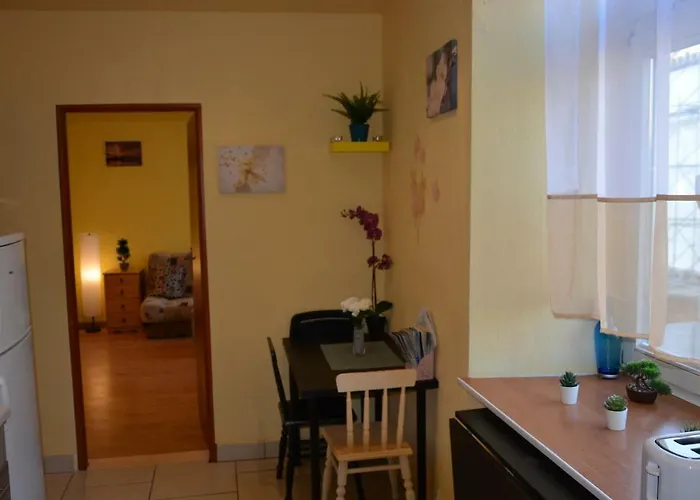 Miracool Apartament *